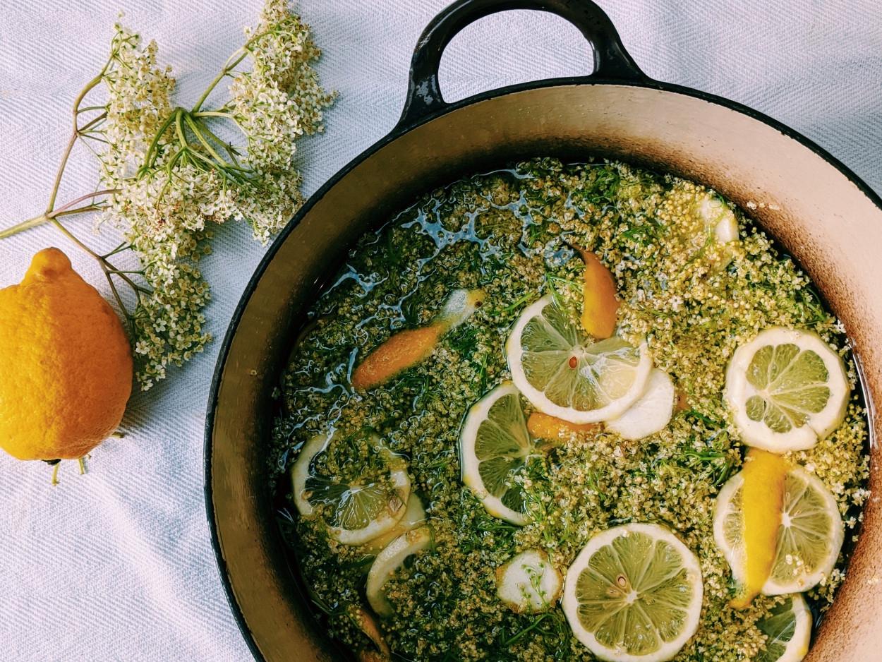 Elderflowers soaking in their syrup solution with lemon peel and slices.